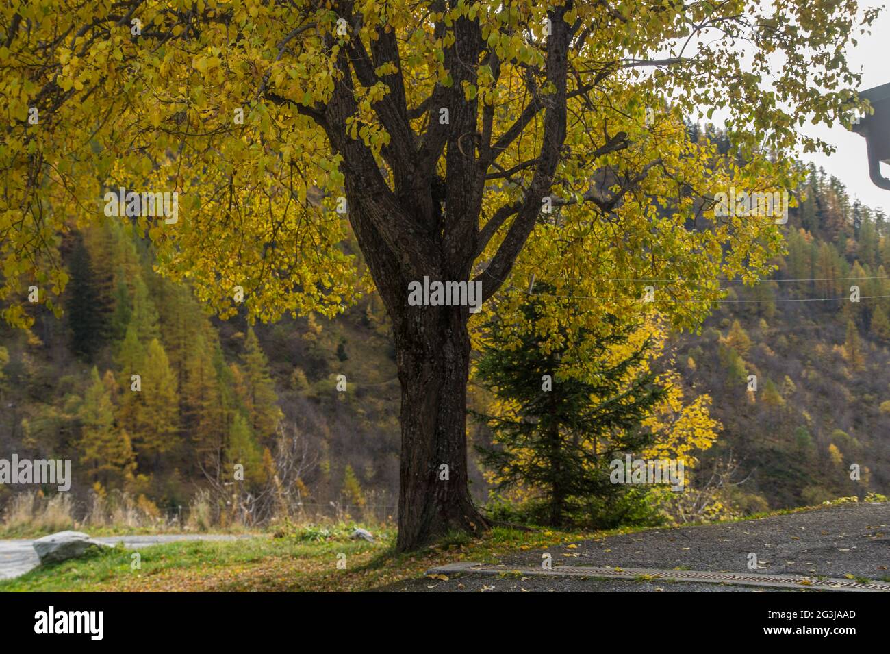 Autumn in the French alps Stock Photo - Alamy