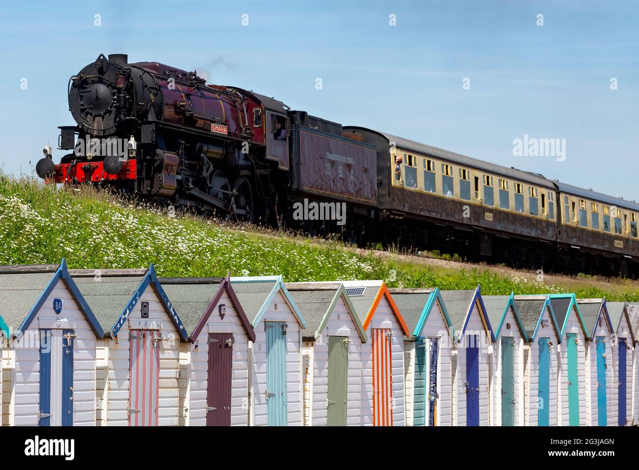 The Omaha steam train pictured travelling past the colourful beach huts in Goodrington, devon, UK Stock Photo
