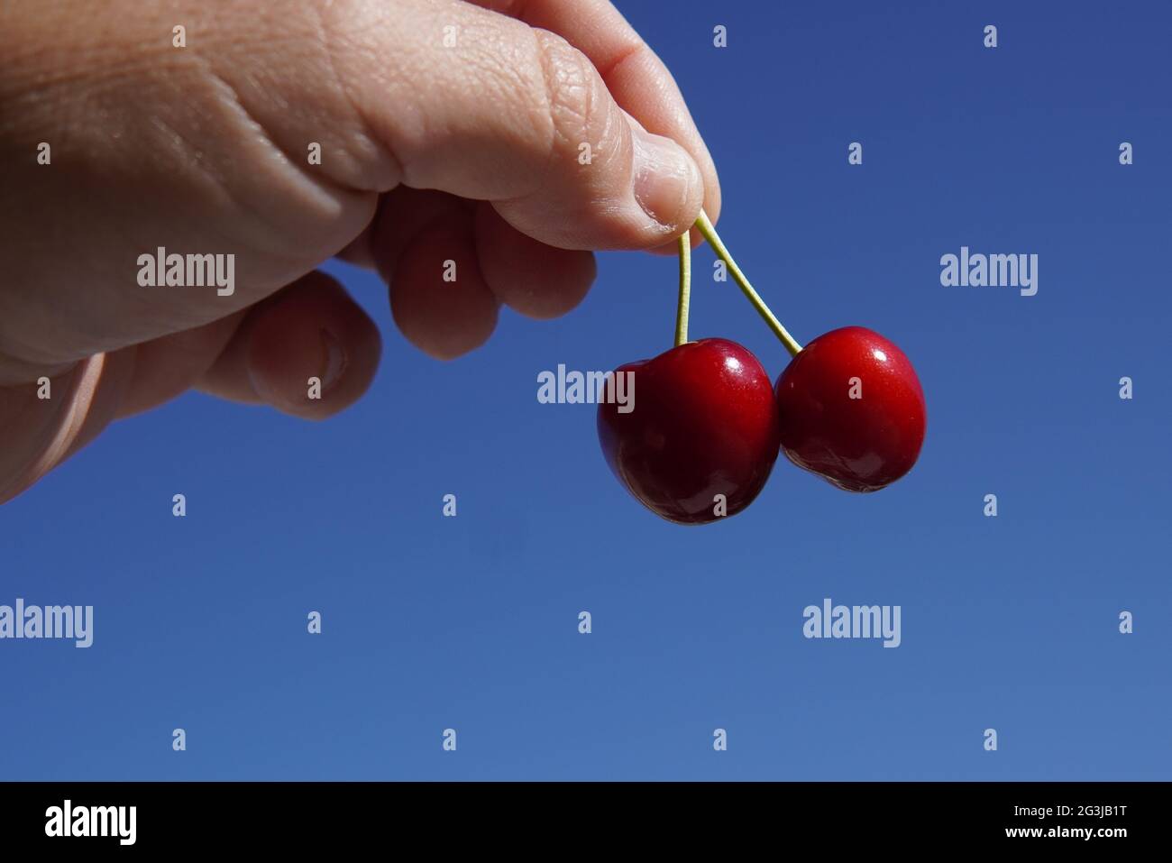 Closeup shot blue hand hi-res stock photography and images - Alamy