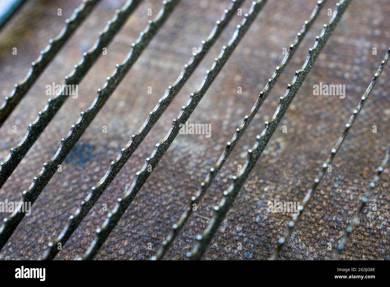 Closeup view of serrated blades, vintage tomatoes cutting tool, France