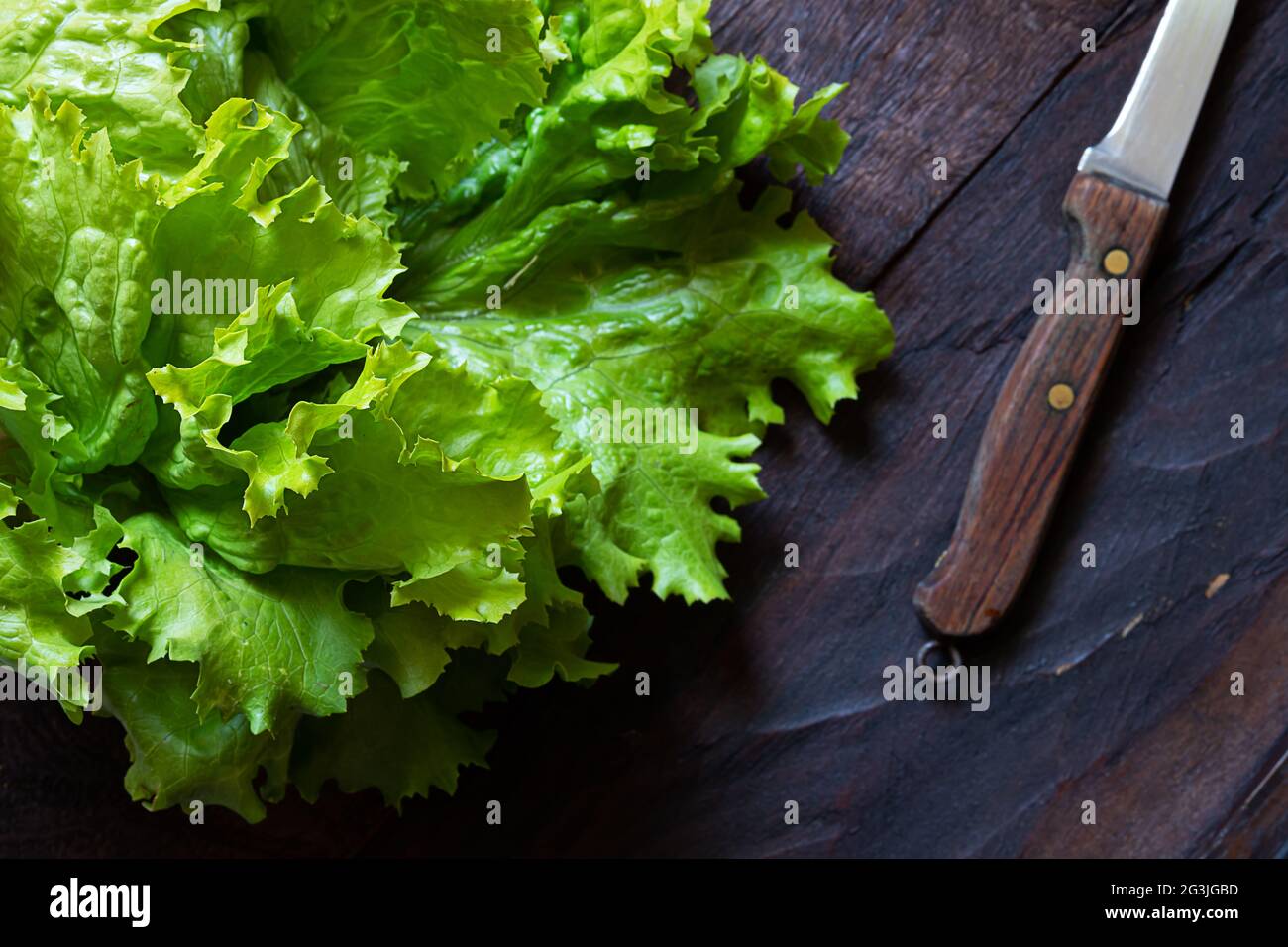 Fresh organic salad from a vegetable garden and a knife on an old wooden table, the concept of gardening and growing your own food, low key photo with Stock Photo