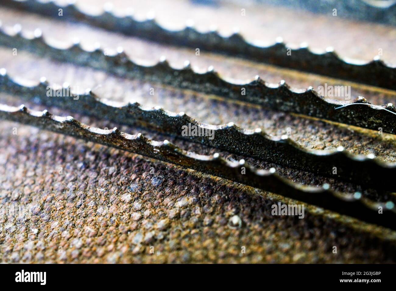 Closeup view of serrated blades, vintage tomatoes cutting tool, France