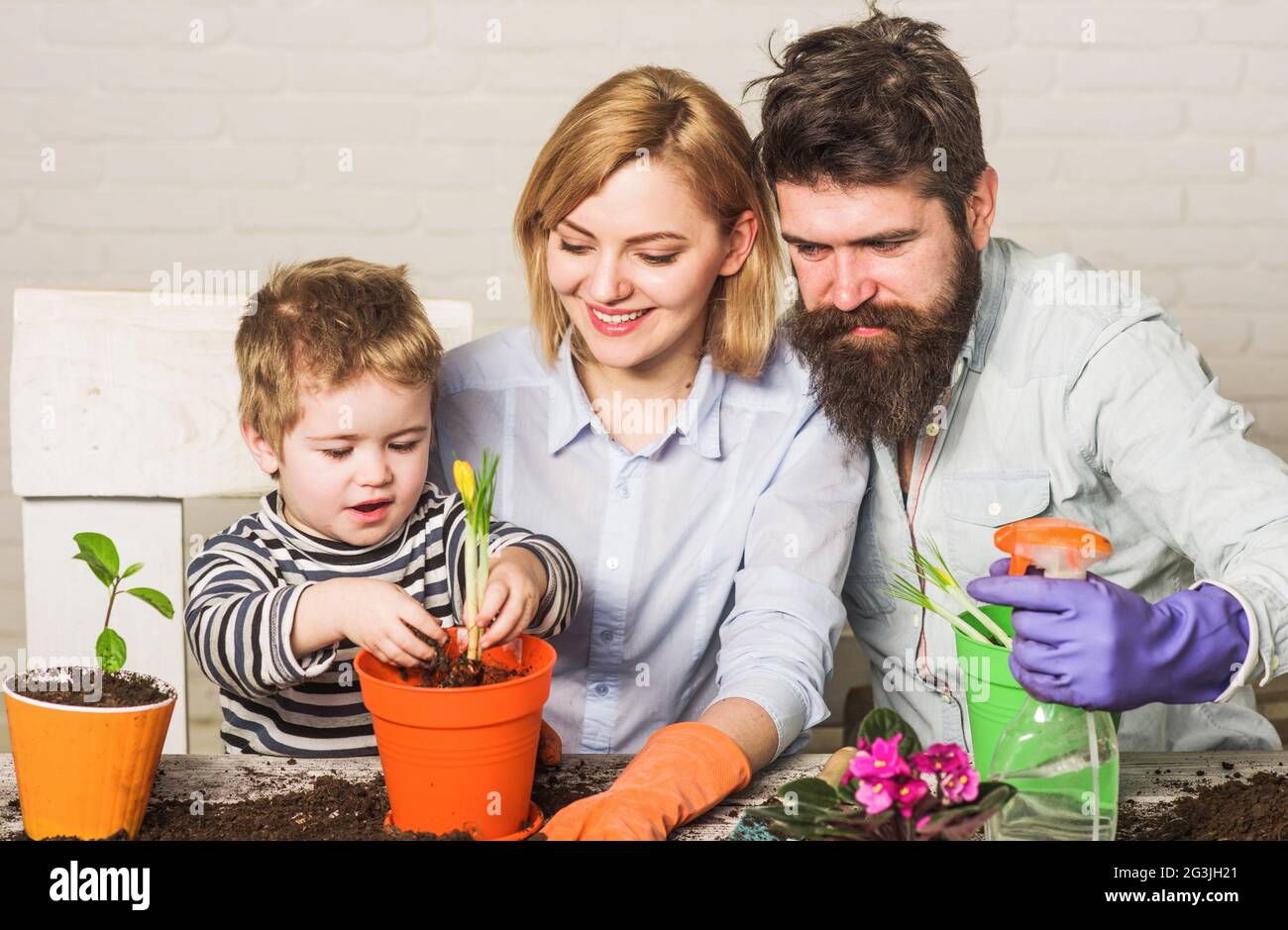 Cute child boy helps parents to care for plants. Happy family planting