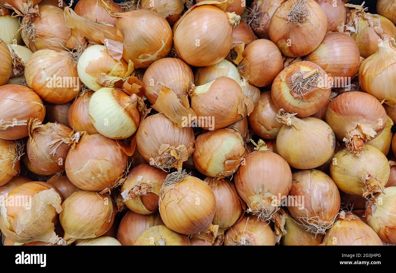 Raw onions hi-res stock photography and images - Alamy
