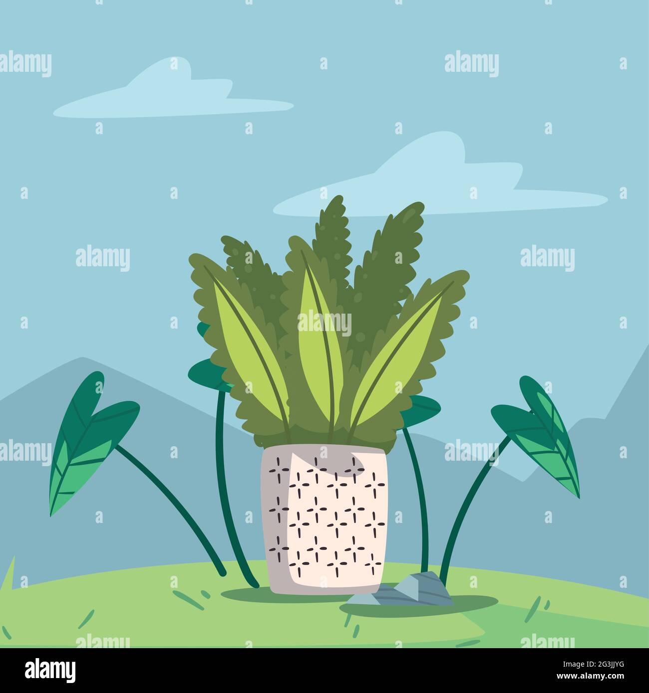 backyard with white houseplant scene Stock Vector Image & Art - Alamy