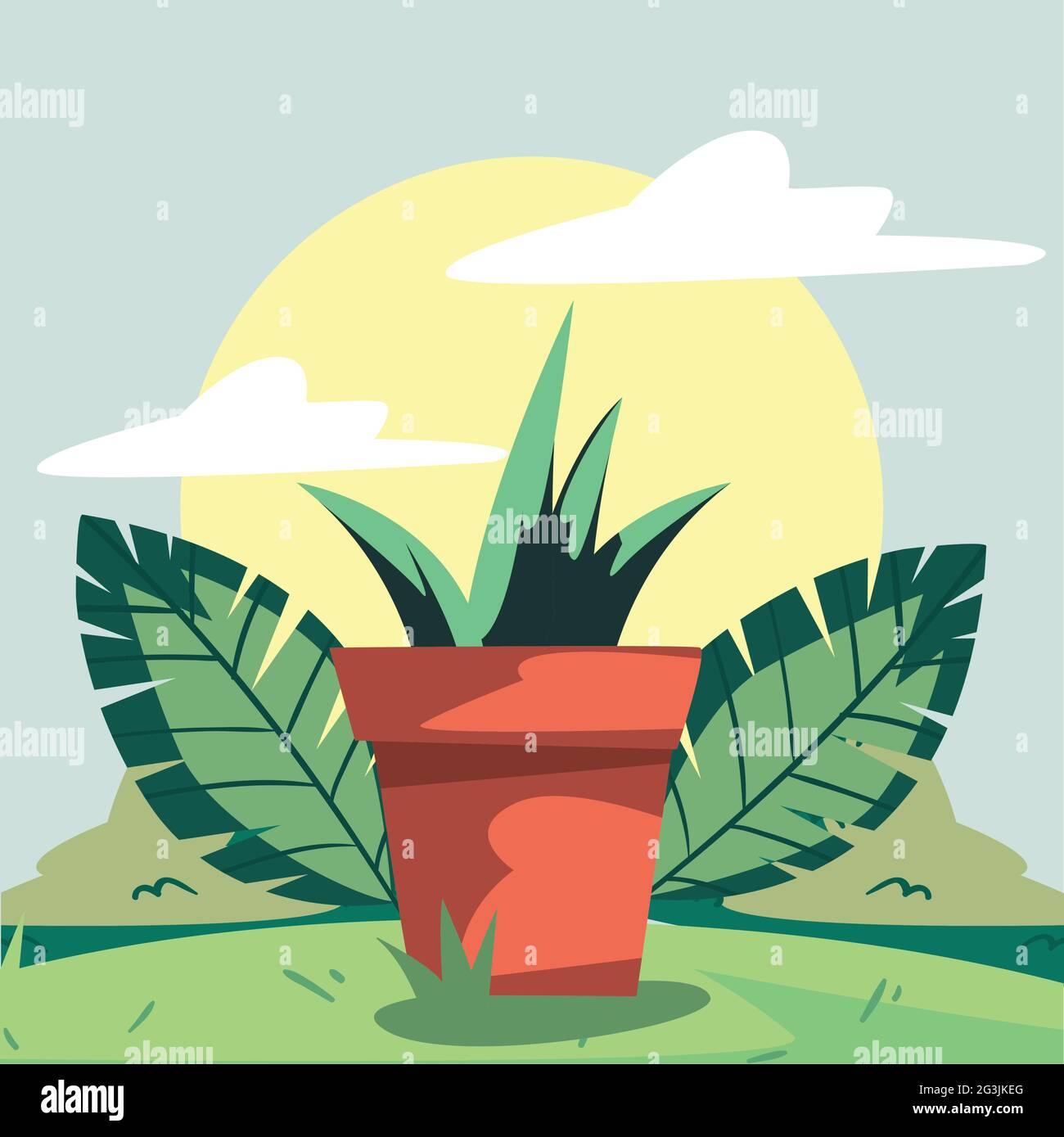 backyard with orange houseplant scene Stock Vector Image & Art - Alamy