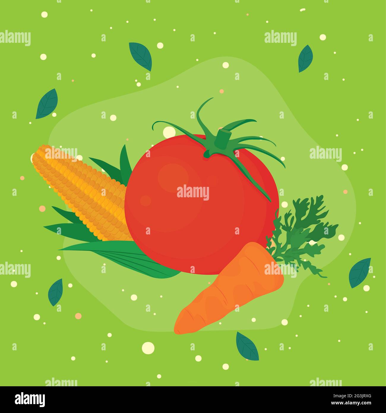 corn , tomato and carrot healthy vegetables Stock Vector Image & Art