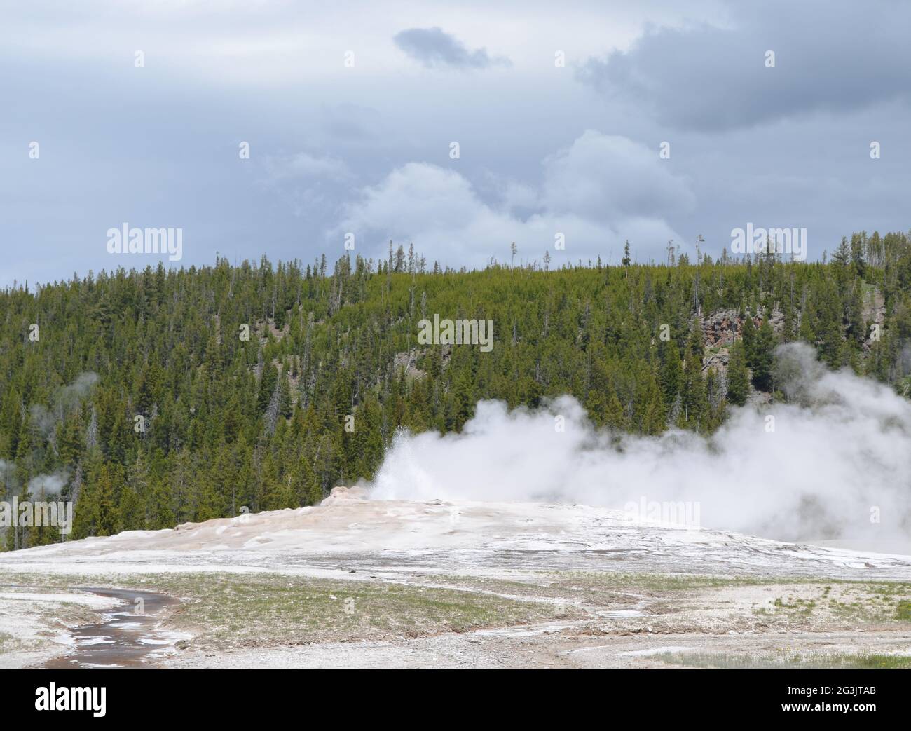 Late Spring in Yellowstone National Park: Old Faithful Geyser Starts to Erupt in the Old Faithful Historic District in the Upper Geyser Basin Area Stock Photo