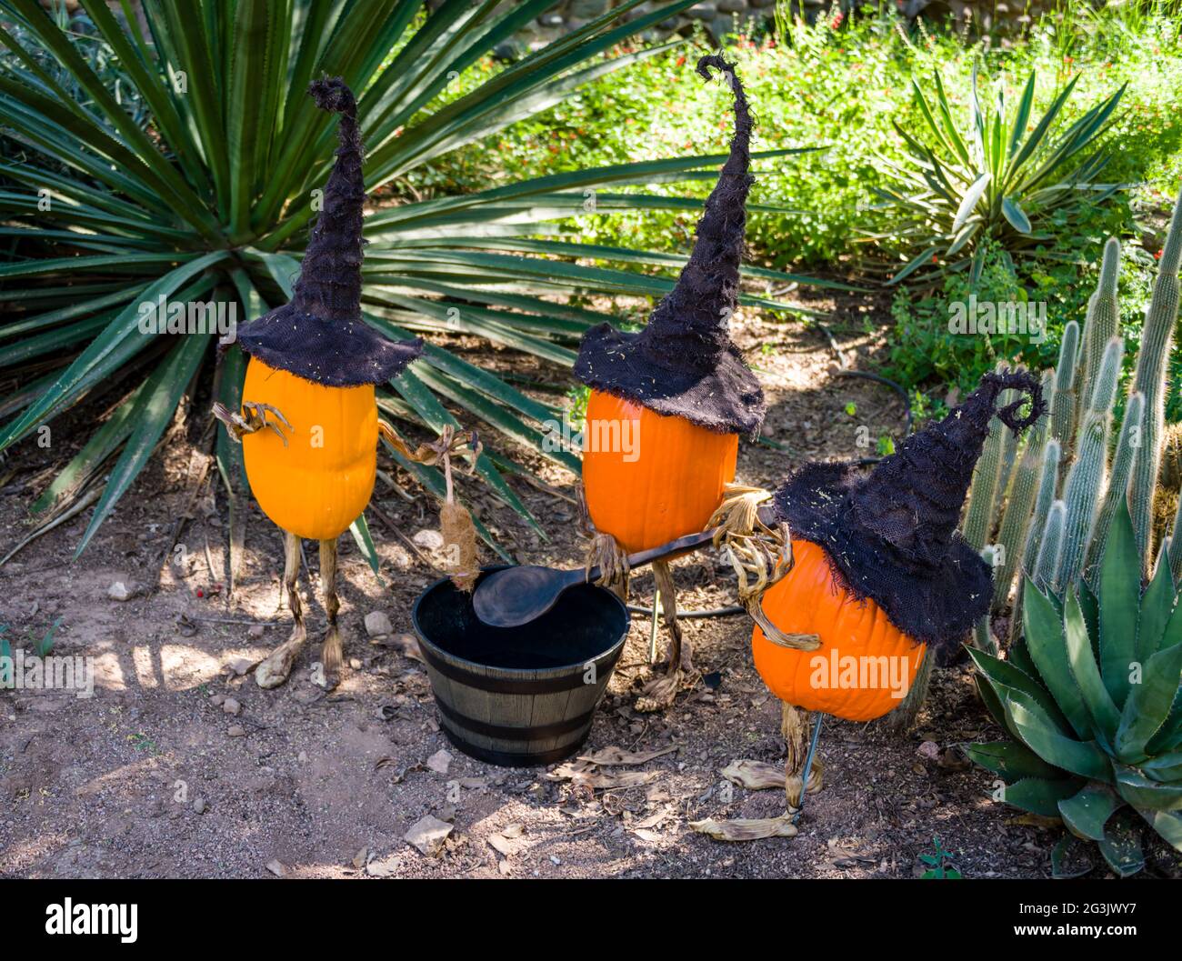 Desert Botanical Garden - Plants & Sculpture - Strange Garden - Ray Villafane Stock Photo