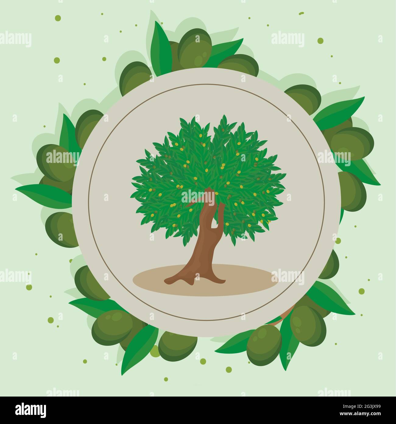 olive oil tree in circular frame Stock Vector Image & Art - Alamy