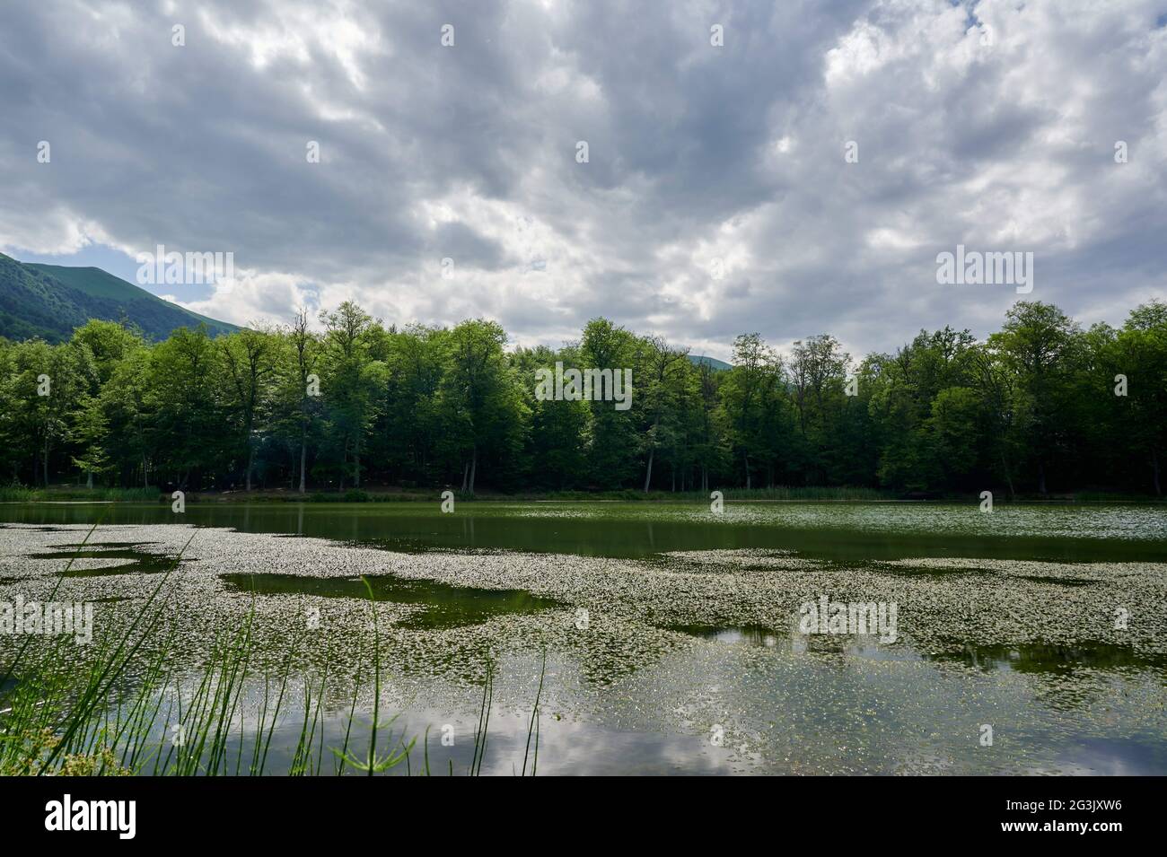 Stunning view of Lake Gosh in Tavush province, Armenia by the lush green forest under a cloudy sky Stock Photo