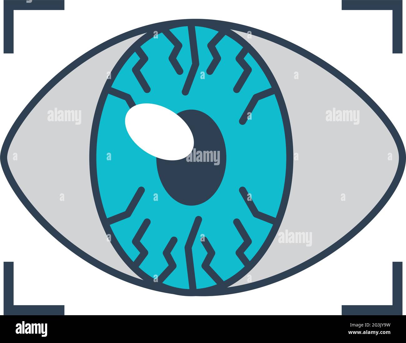 eye scan icon on background Stock Vector Image & Art - Alamy