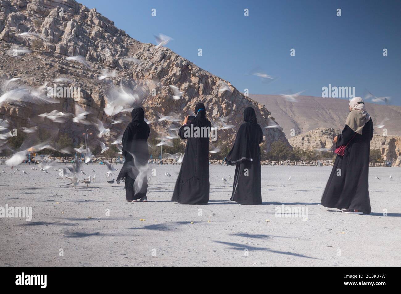 Four women, Khasab, Oman; wearing traditional Gulf attire, black Abaya, interacting with sea gulls Stock Photo