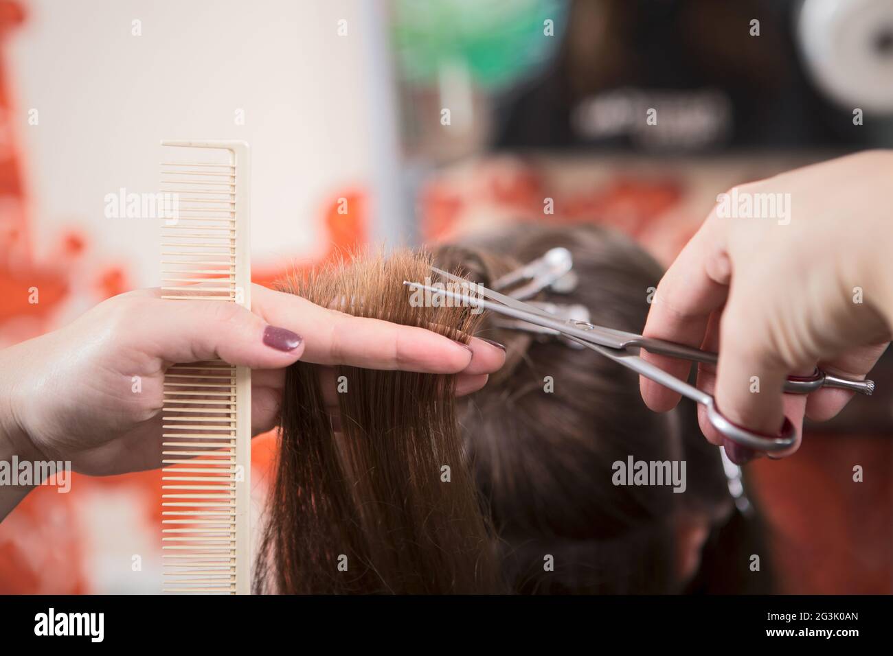 Hairdresser cutting hair Stock Photo