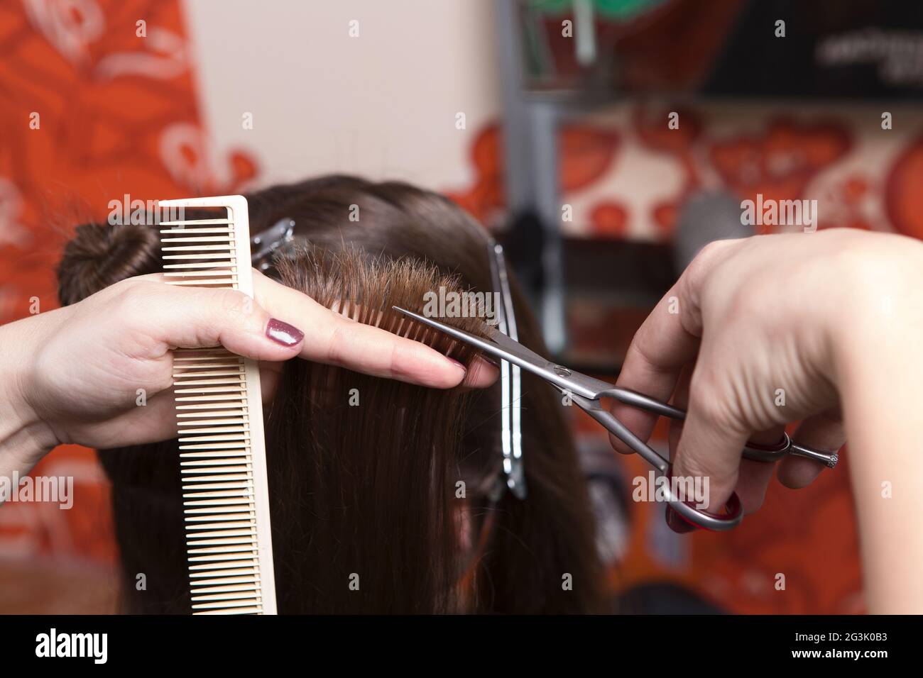 Hairdresser cutting hair Stock Photo