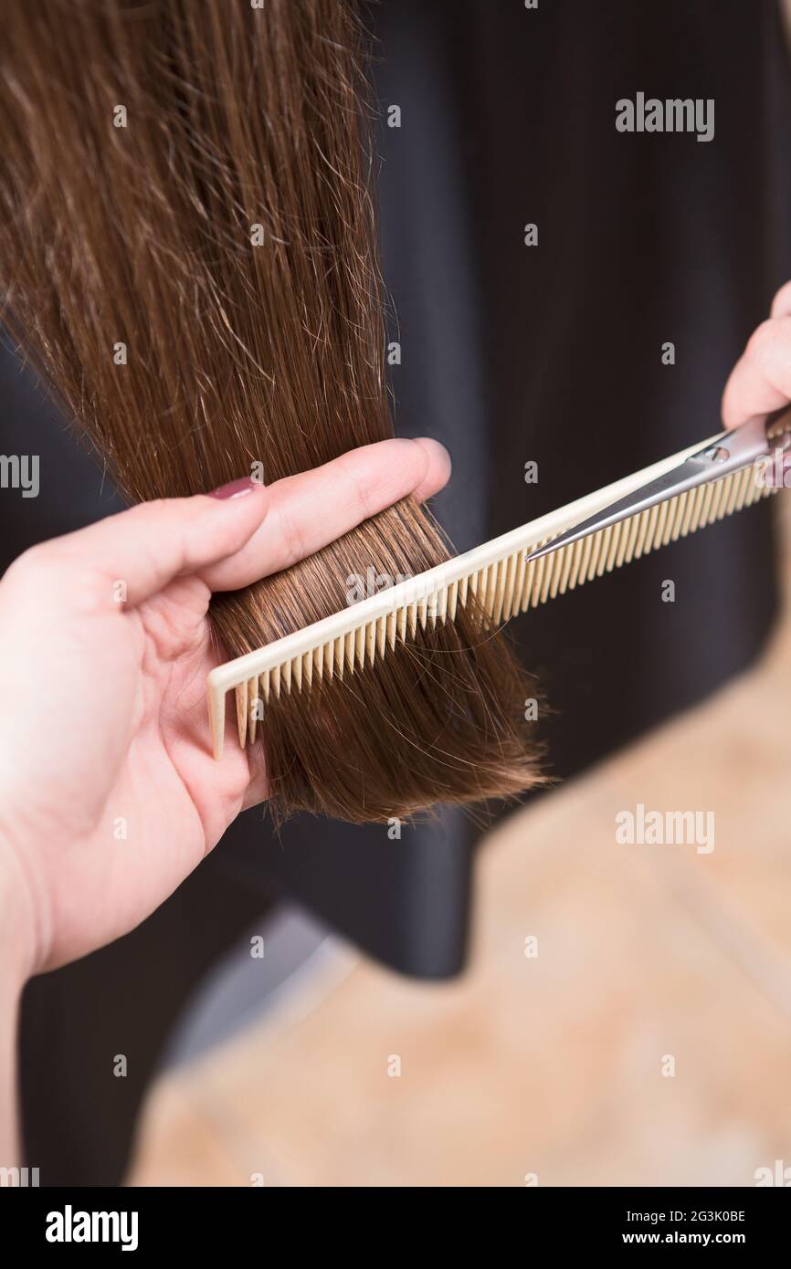 Hairdresser cutting hair Stock Photo