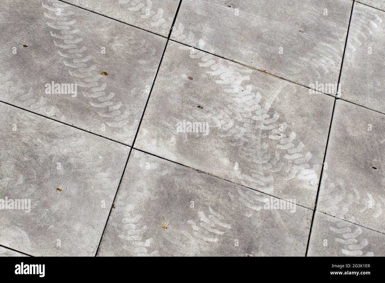 Skid marks on concrete road Stock Photo Alamy