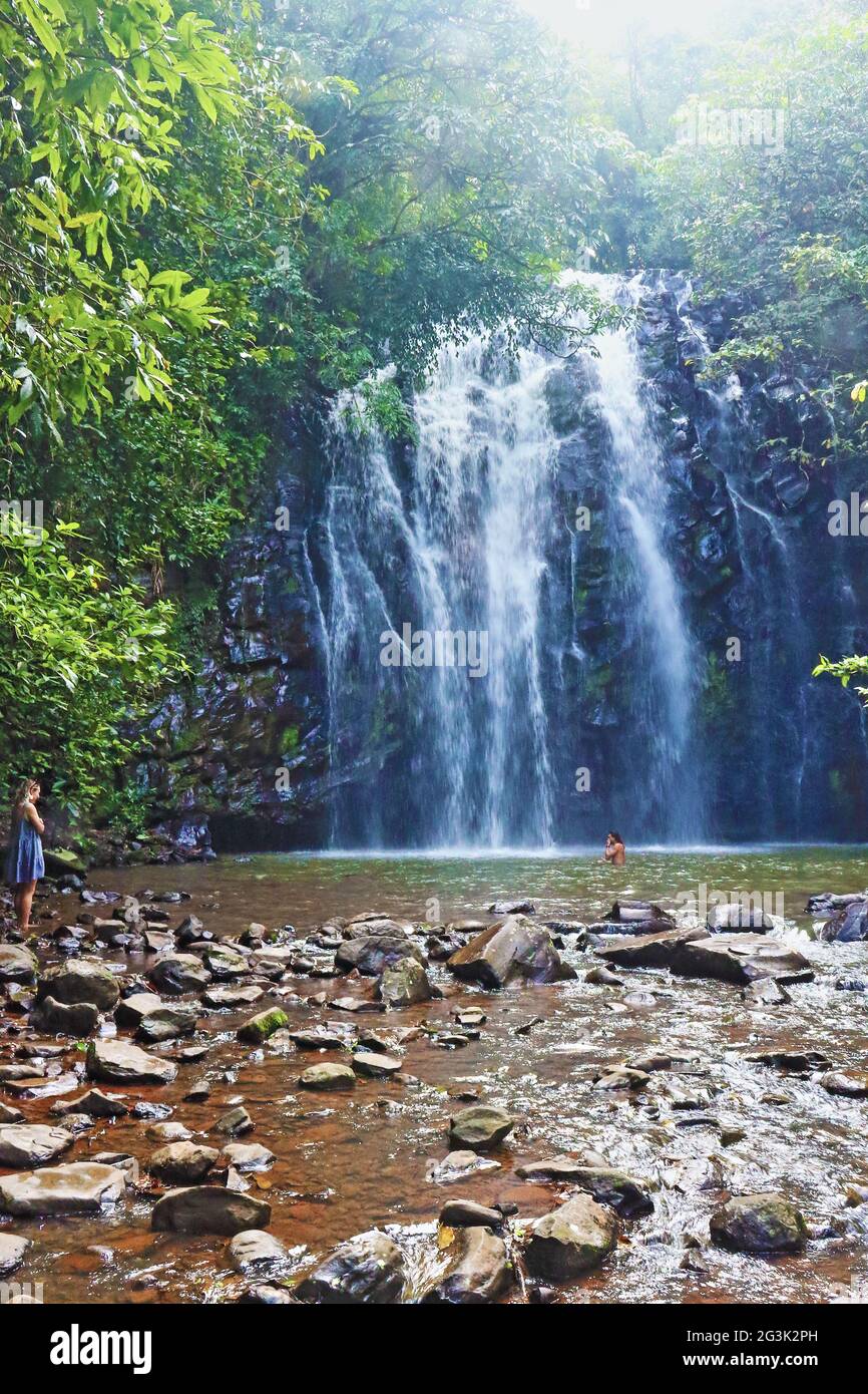Ellinjaa Falls and swimming hole is part of the waterfall circuit around Millaa Millaa on the Atherton Tableleands in Far North Queensland Australia Stock Photo