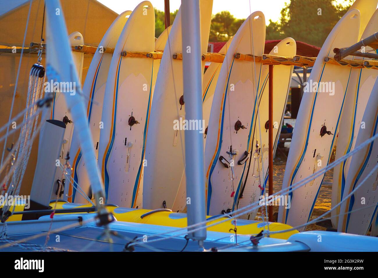windsurfing boards storage on a beach watersports facility in early morning under rising sun light Stock Photo
