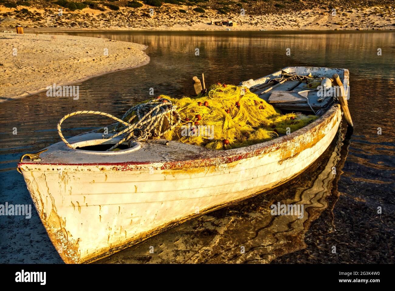 Kiefer auf einer Hochebene auf der Insel Kreta, Griechenland Stock Photo