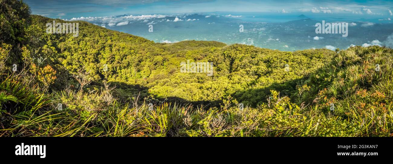 Wilderness in North Sulawesi Stock Photo