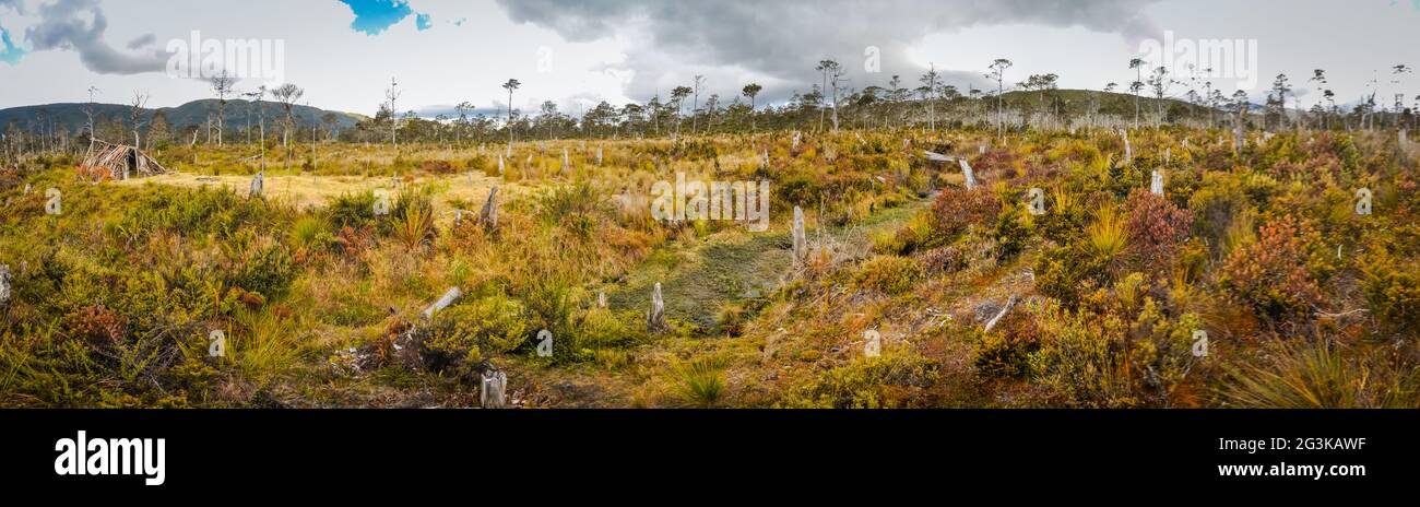 Field alone hi-res stock photography and images - Alamy