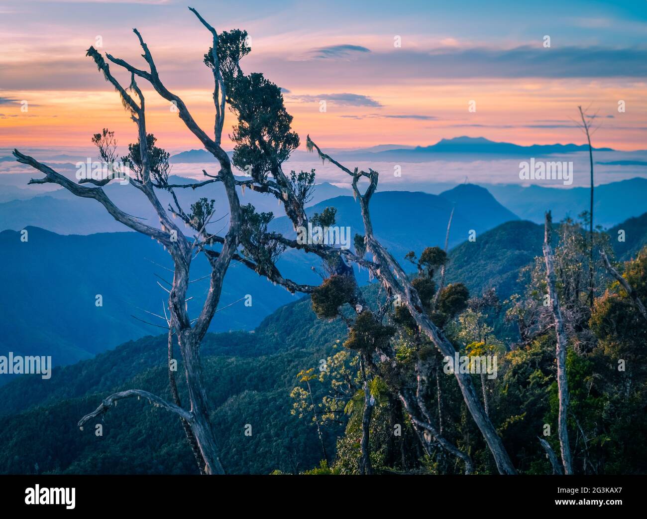 Morning view in Papua Stock Photo Alamy