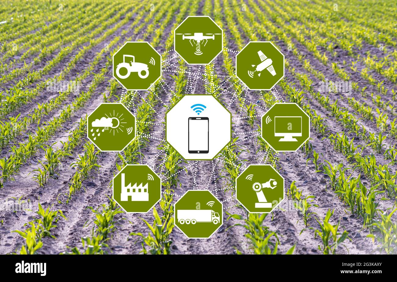 Grain production with modern farming technologies - a smart agriculture ...