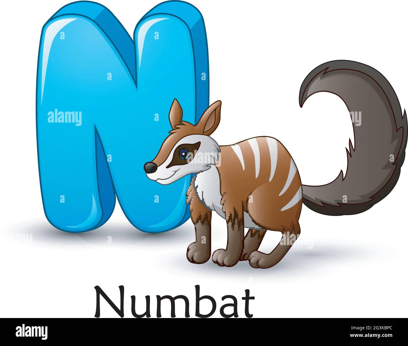 Letter N is for Numbat cartoon alphabet Stock Vector Image & Art - Alamy