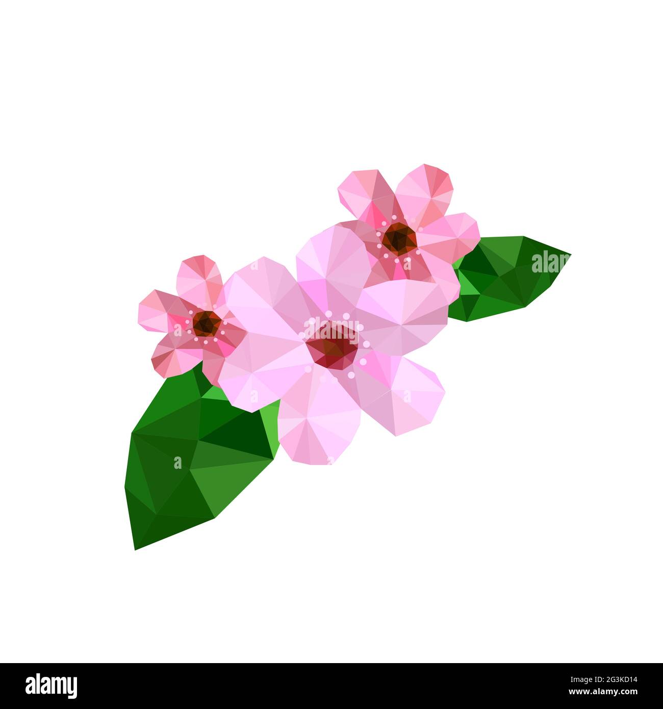 Origami: Flor de Cerezo // Cherry Blossom 