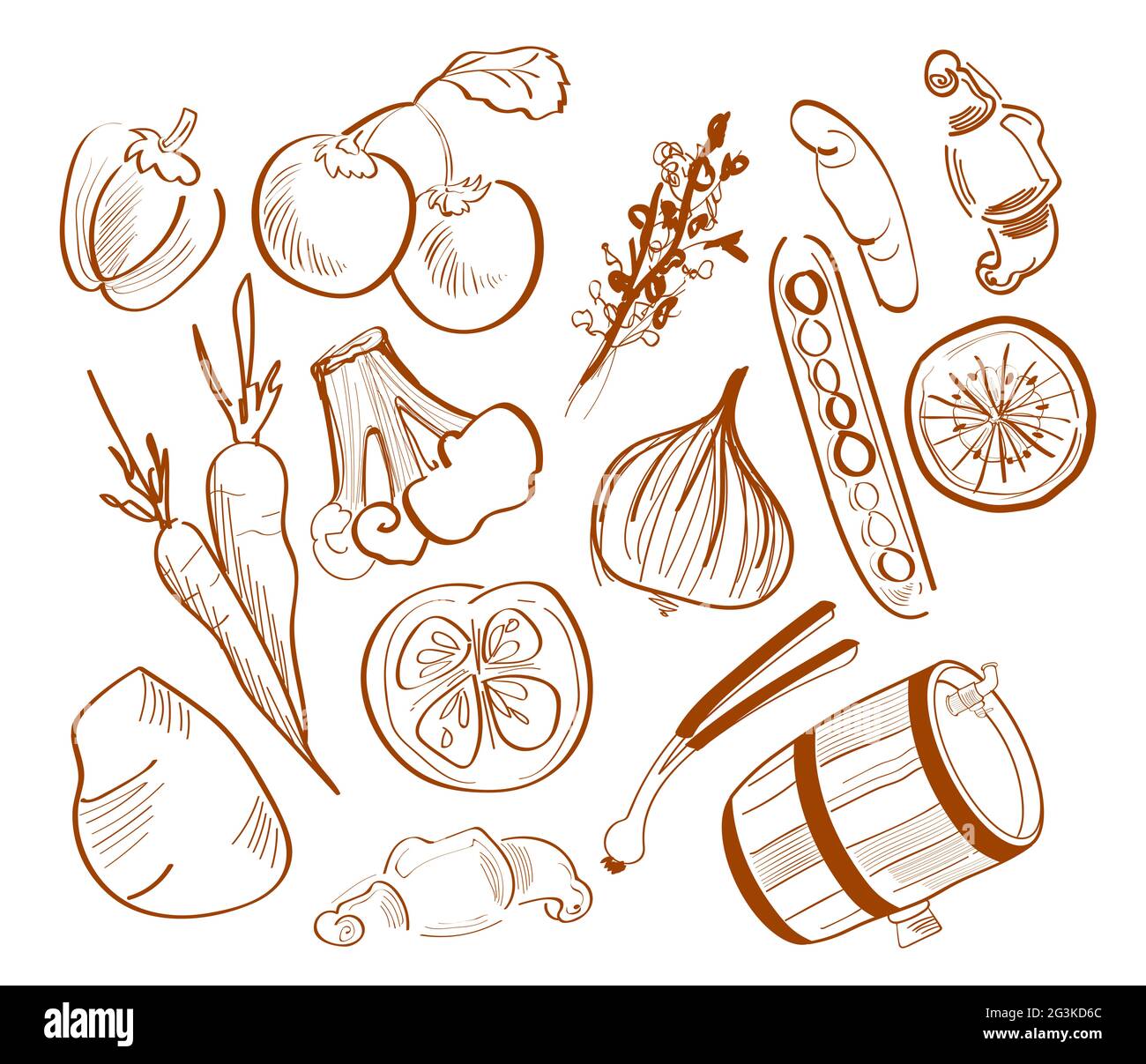 Illustration of hand drawn vegetables Stock Photo Alamy