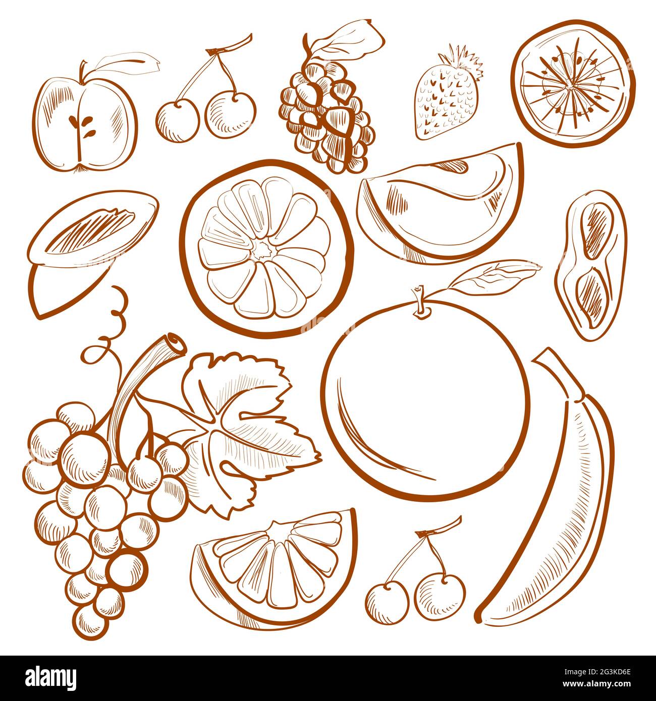 Summer fruits collection hand drawing hi-res stock photography and ...
