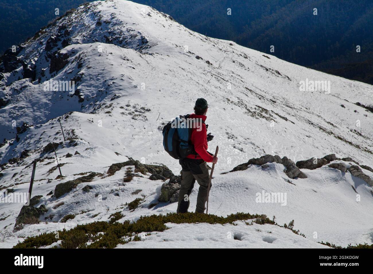 Hiker heading up to the summit of Mt Bogong (1986m), Victoria, Australia. Stock Photo