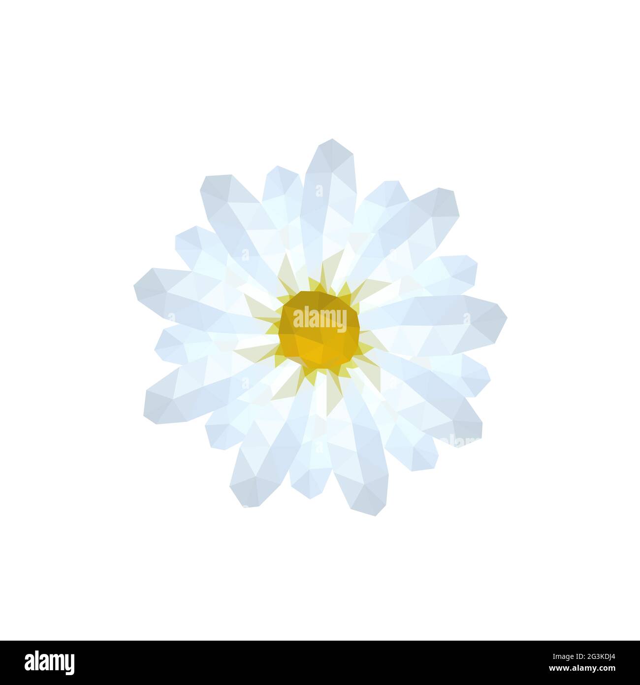 Illustration of origami white daisy Stock Photo