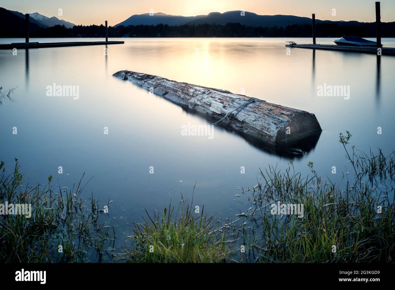 Log floating in lake at sunset Stock Photo - Alamy