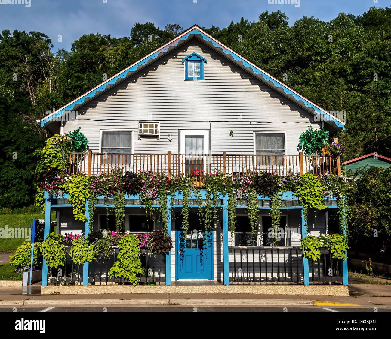 Lots of flowers on the balcony and in pots at Tangled Up in Blue