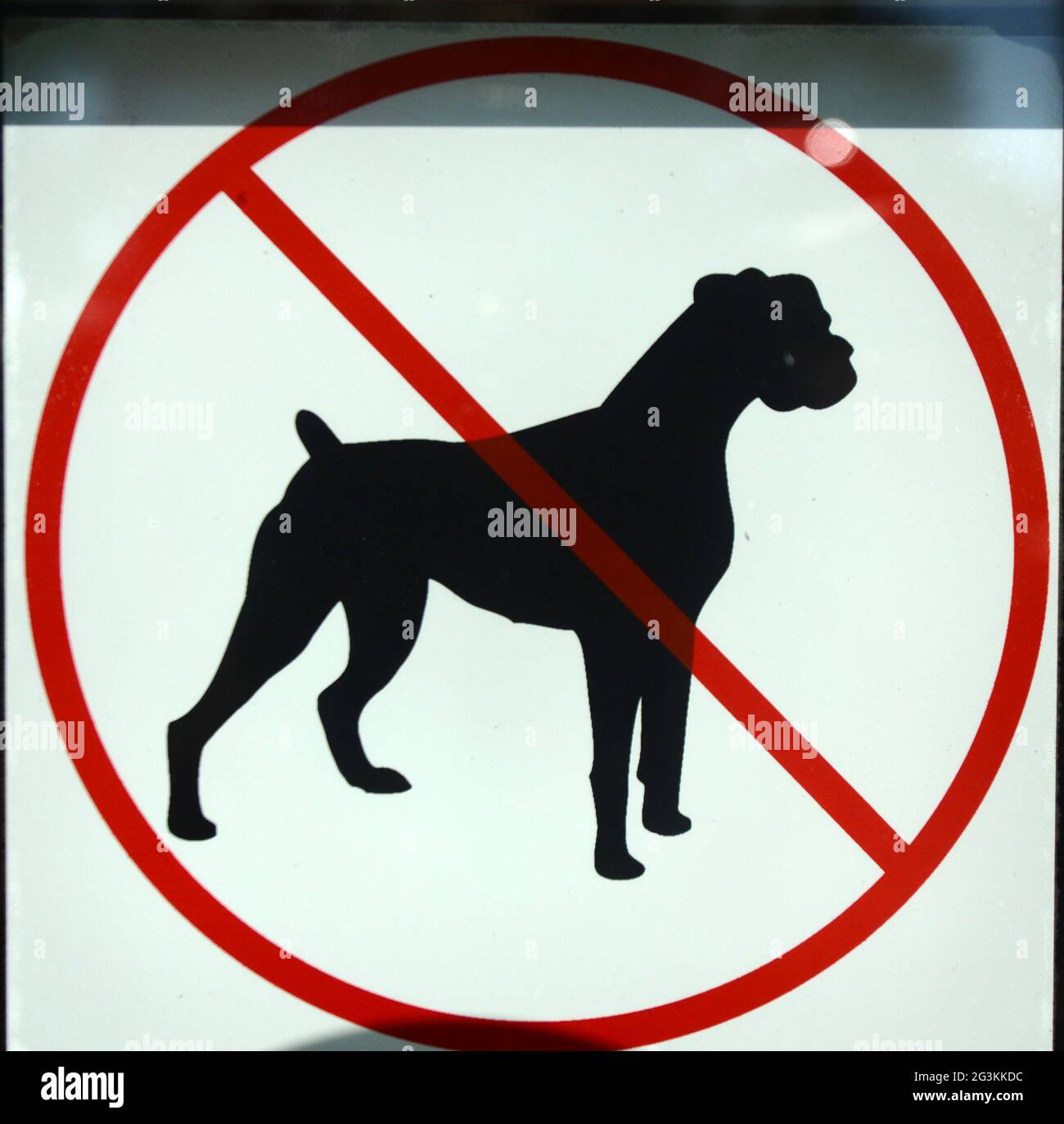 Are Dogs Allowed In Central Market