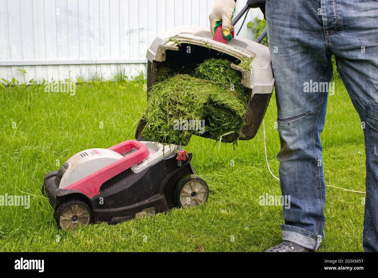 Man with Lawn mower In Garden. Man with lawn mower grass collector in hand. Gardener trimming a garden. Stock Photo