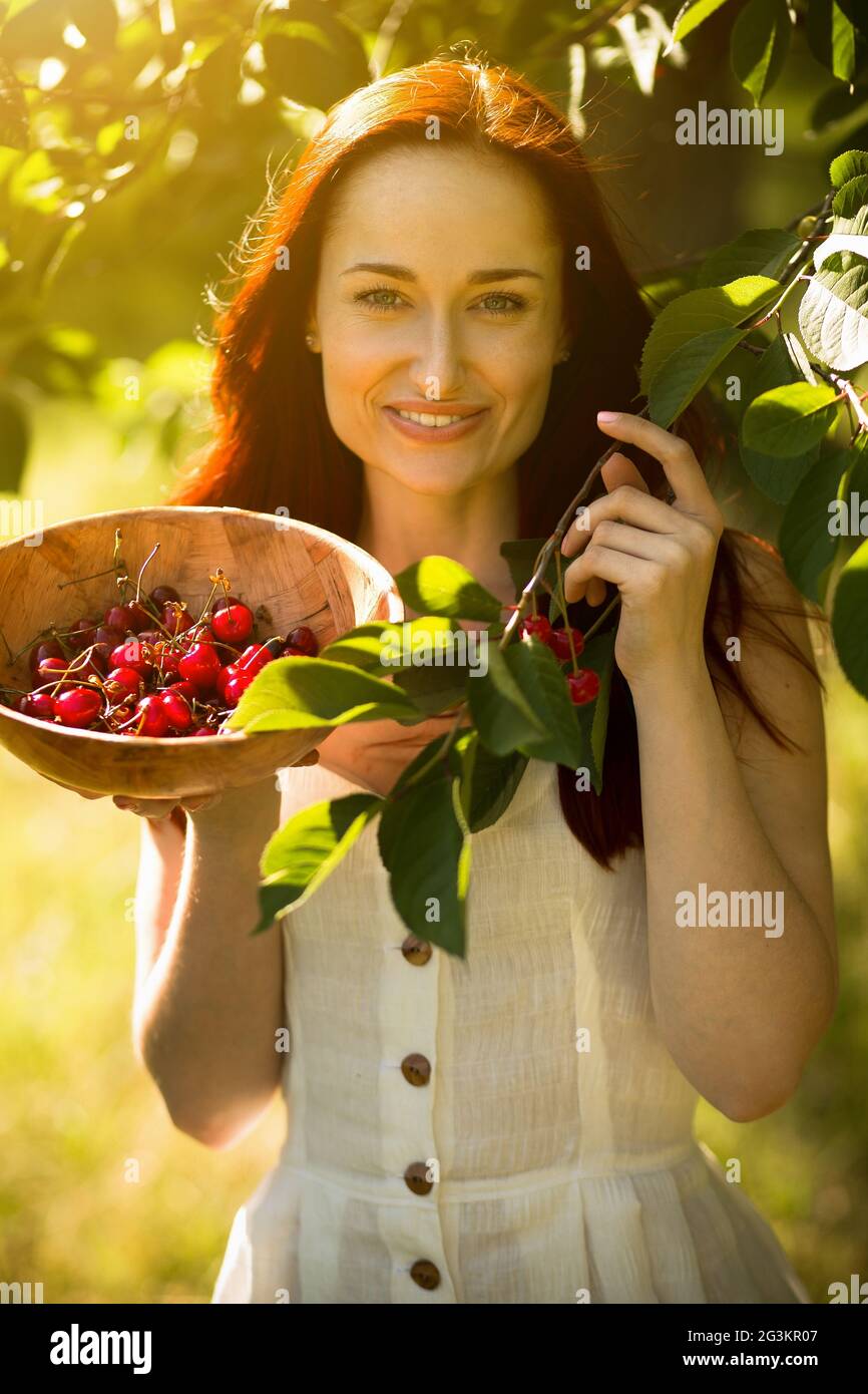 Front view of attractive foxy female picking cherries from tree. Stock Photo