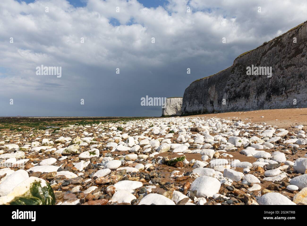 White chalk stones showing at low tide, Botany bay beach, Broadstairs, Kent England Stock Photo