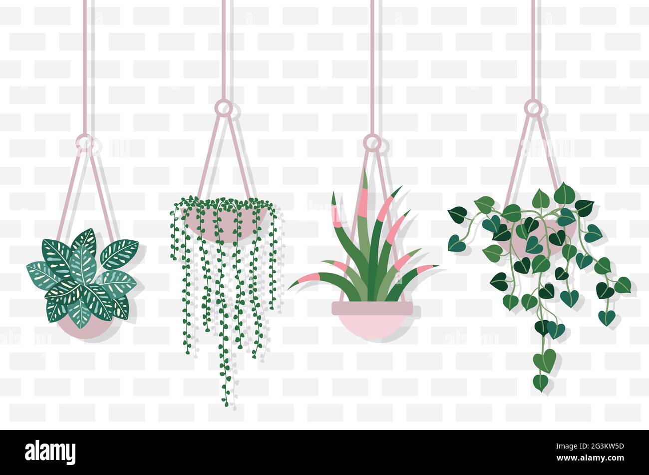House Plants Hang on Rope on Brick Wall Stock Vector