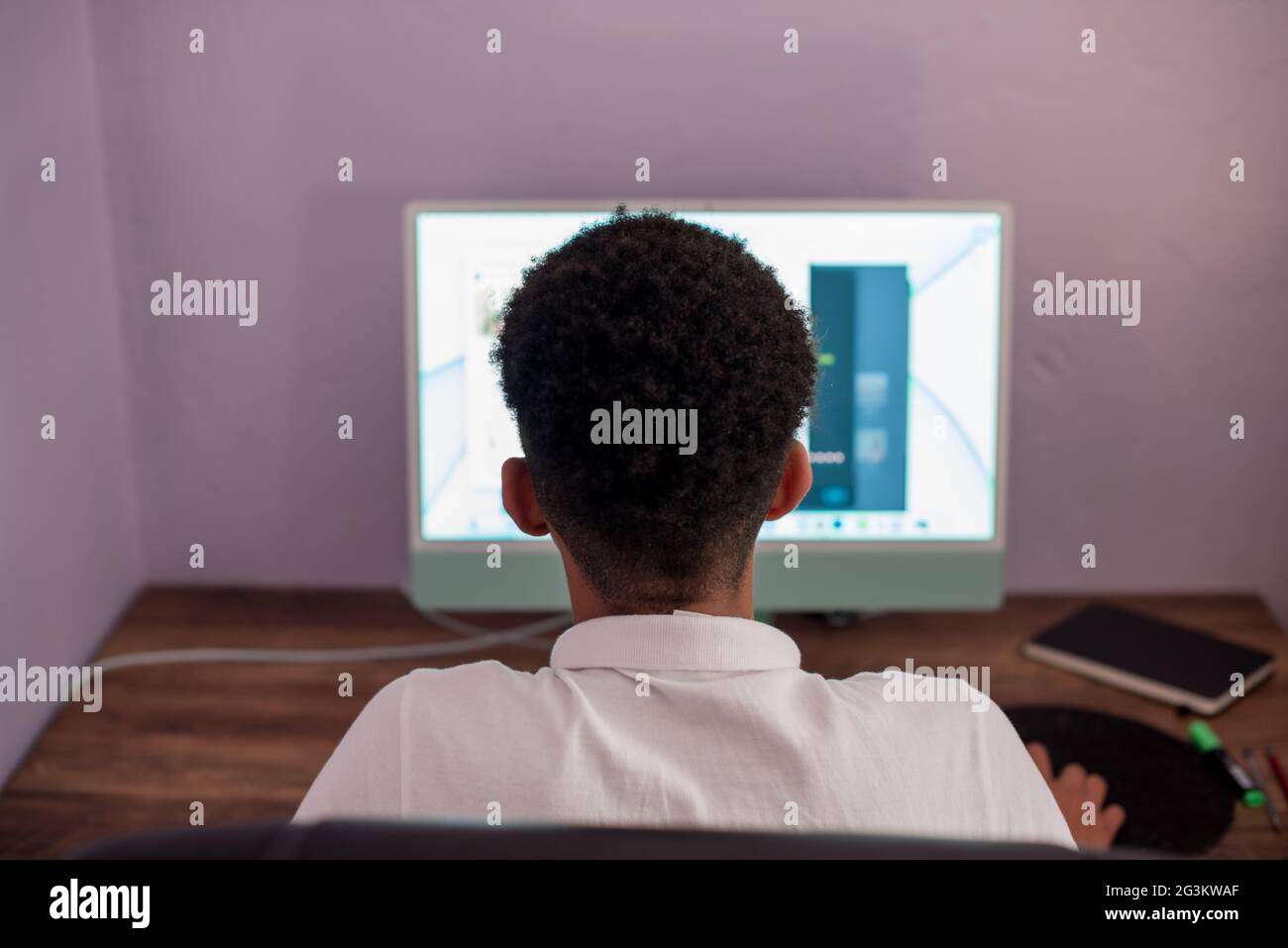 Young boy using computer at home Stock Photo