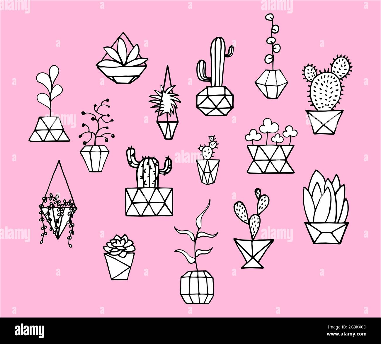 Doodle plant in faceted pot set. Hand-drawn leaves, succulents, cactus ...