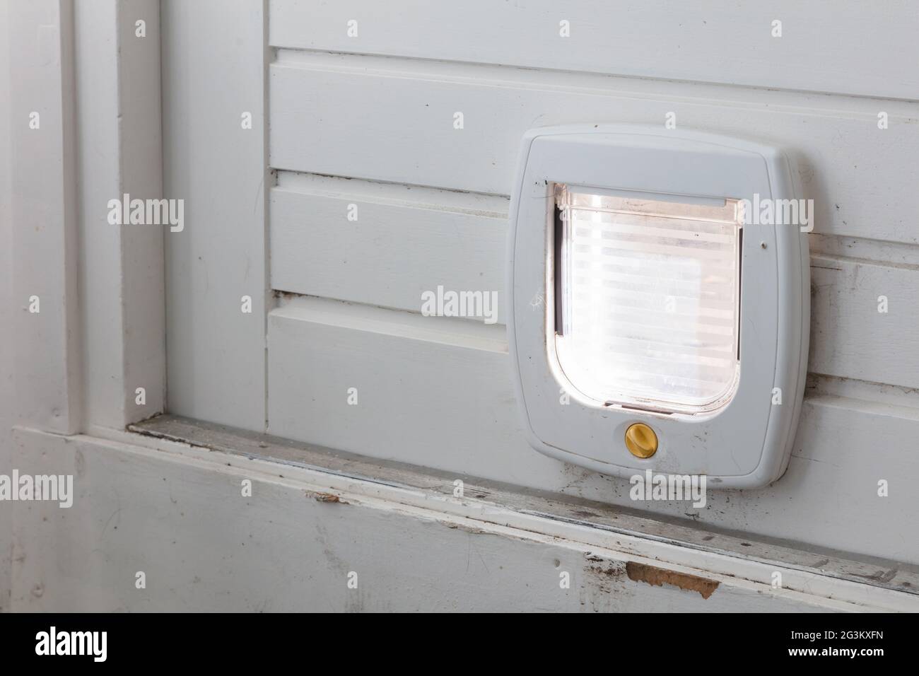 Cat flap wooden door hires stock photography and images Alamy