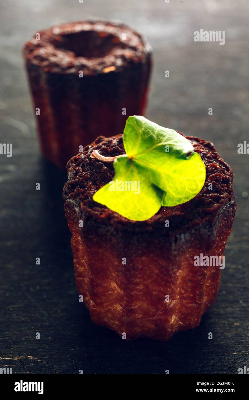Tasty French Pastry Stock Photo - Alamy