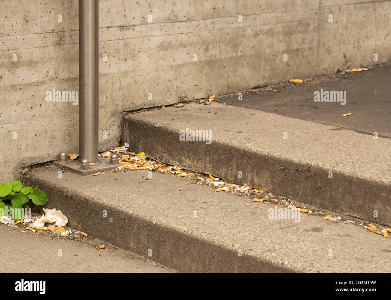 Weggeworfene Zigaretten auf einer Stiege Stock Photo