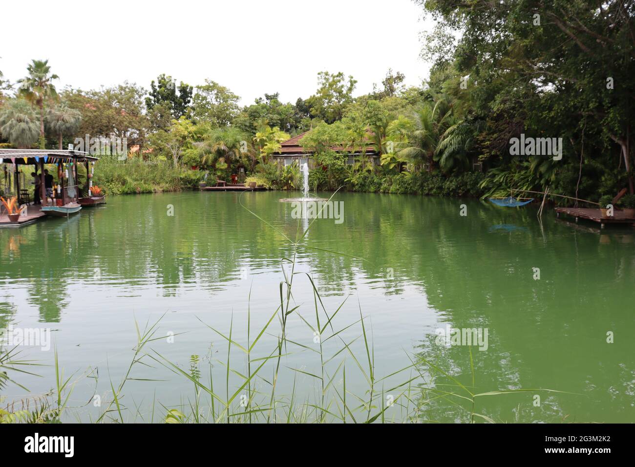Waterfall in home fish pond hi-res stock photography and images - Alamy