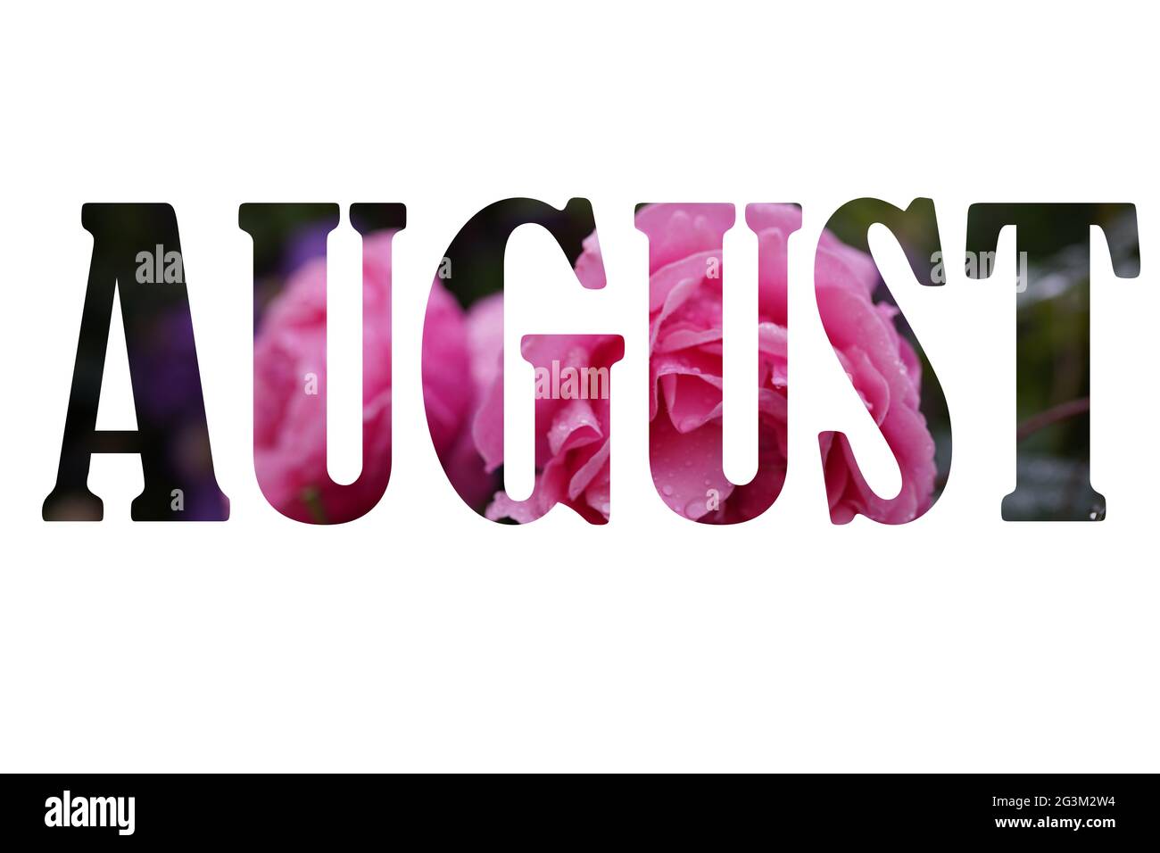 Word August made of leaves and flowers on white background. Creative photo Stock Photo