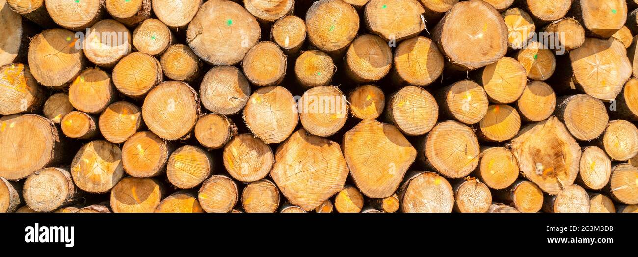 Storage place for wood logs Stock Photo