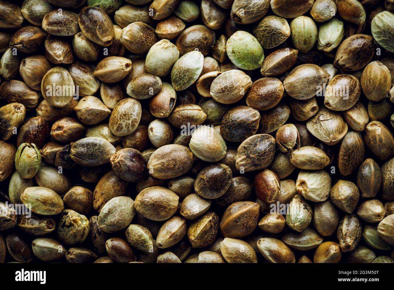 Hemp seeds macro background Stock Photo Alamy